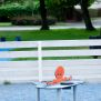 Miniaturka Octopus Play Table (5)