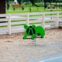 Miniaturka Turtle (4)